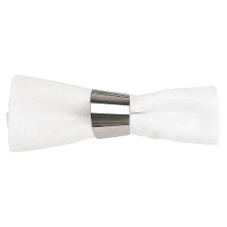 КОЛЬЦО ДЛЯ САЛФЕТКИ PADERNO МЕТАЛЛ 42955-00
